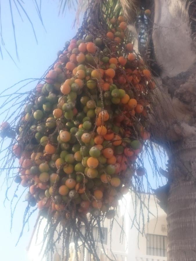 Casa Paraiso Benajarafe Εξωτερικό φωτογραφία